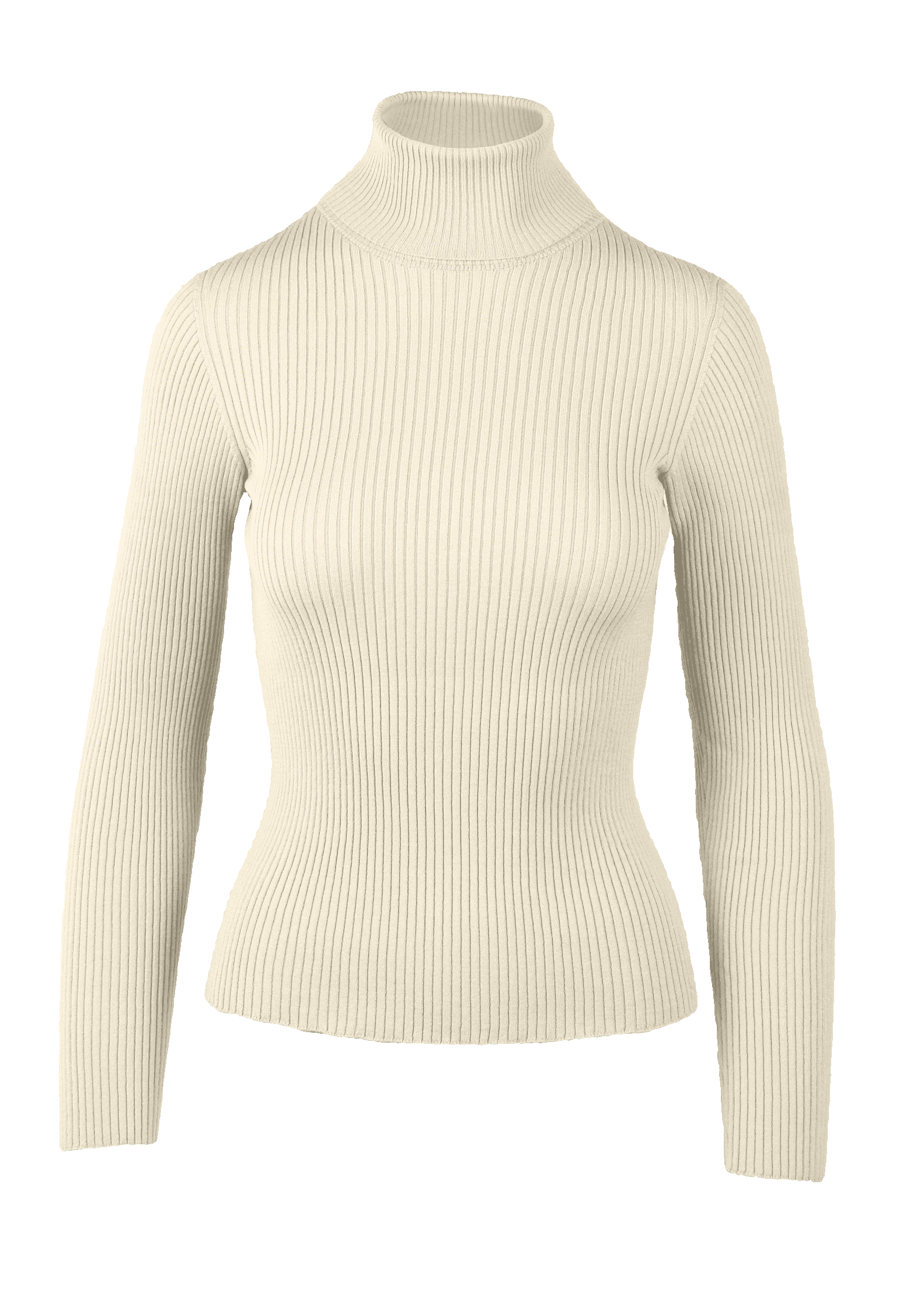 Yanna Turtleneck