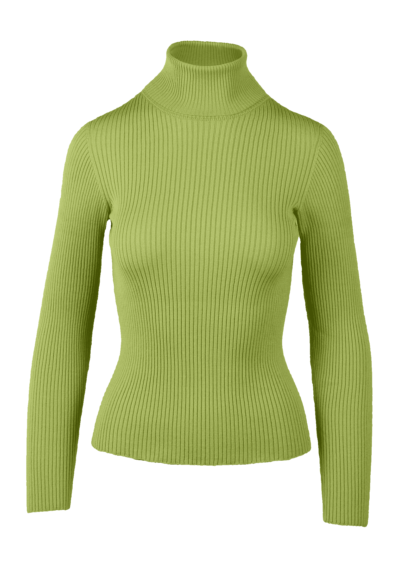 Yanna Turtleneck