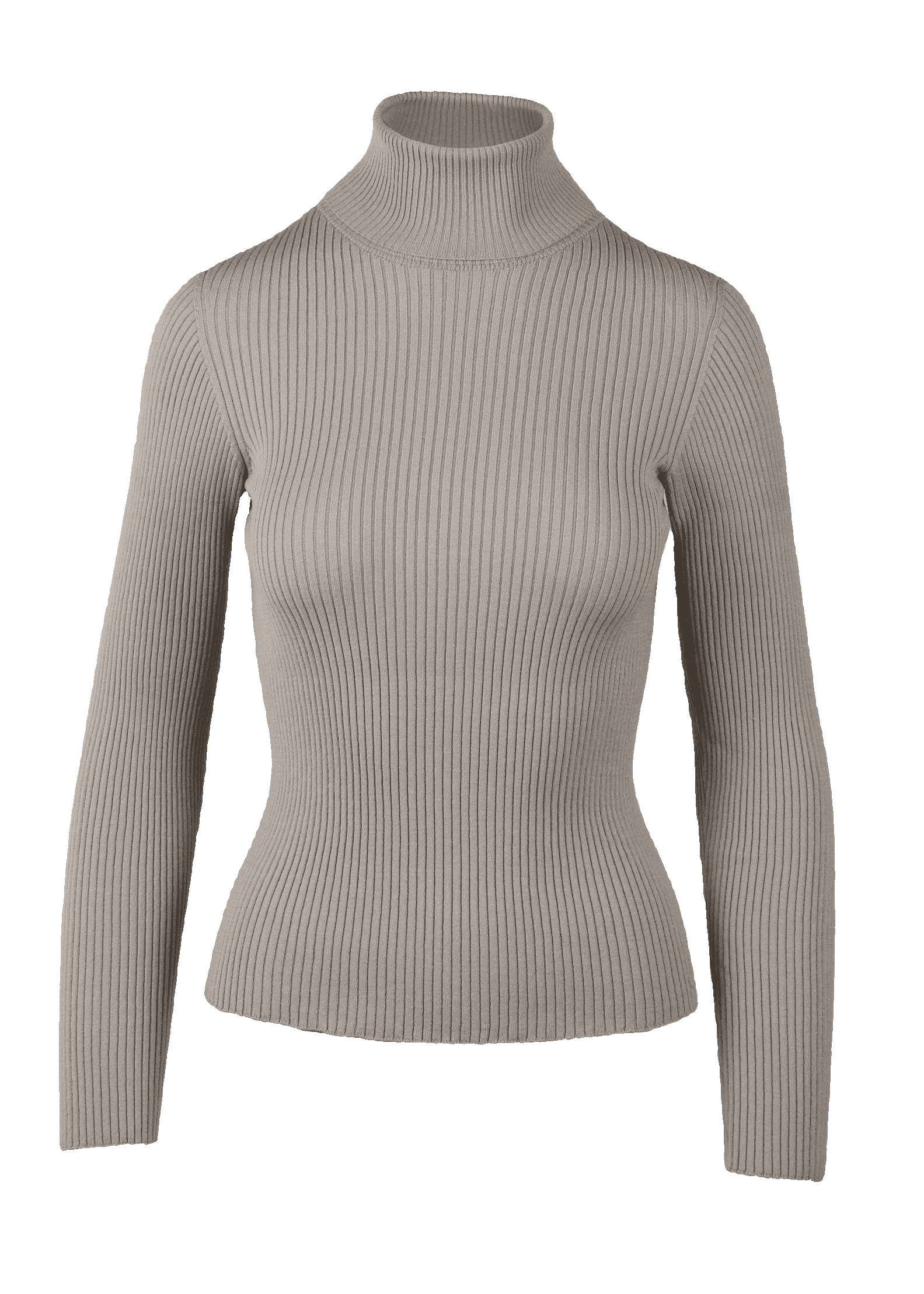 Yanna Turtleneck