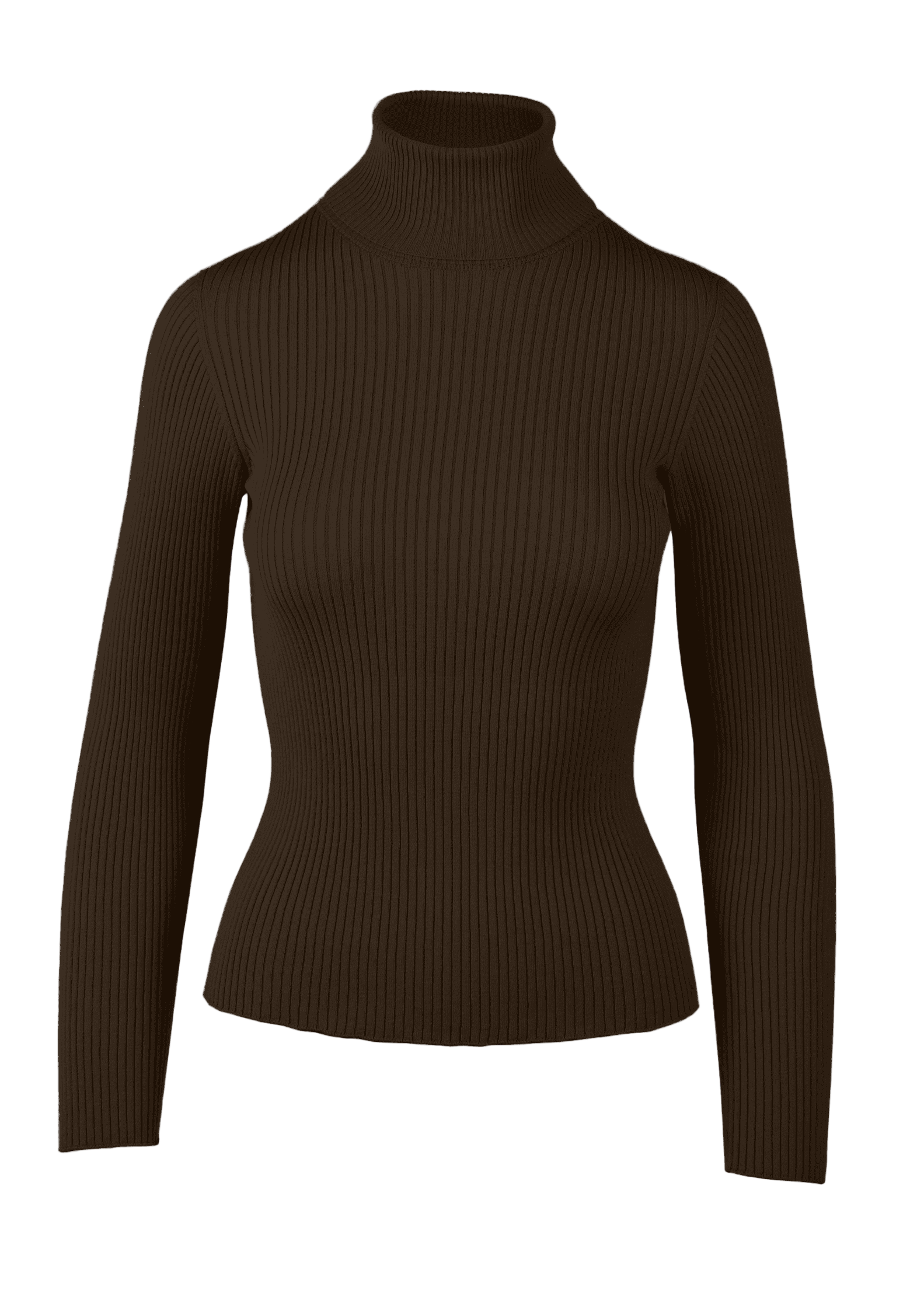 Yanna Turtleneck