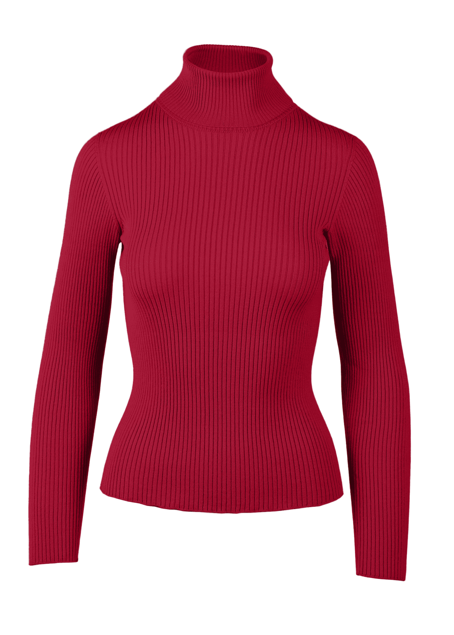 Yanna Turtleneck