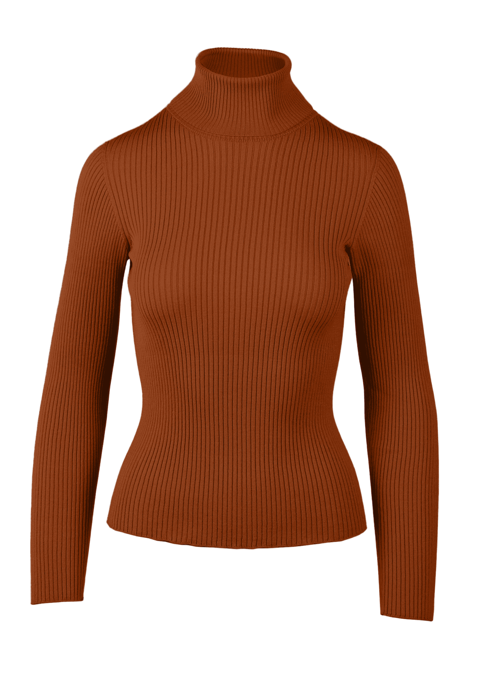 Yanna Turtleneck