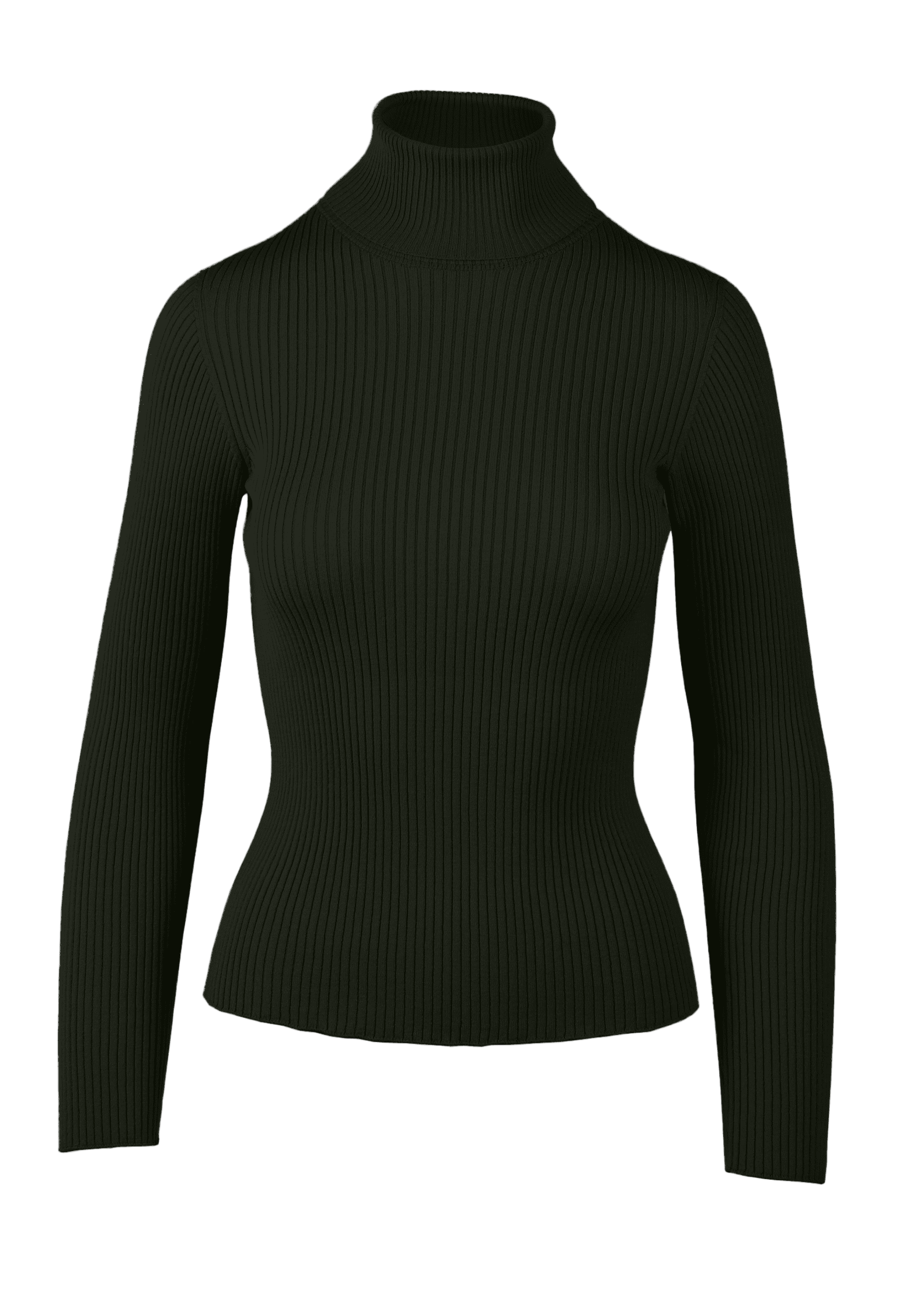 Yanna Turtleneck