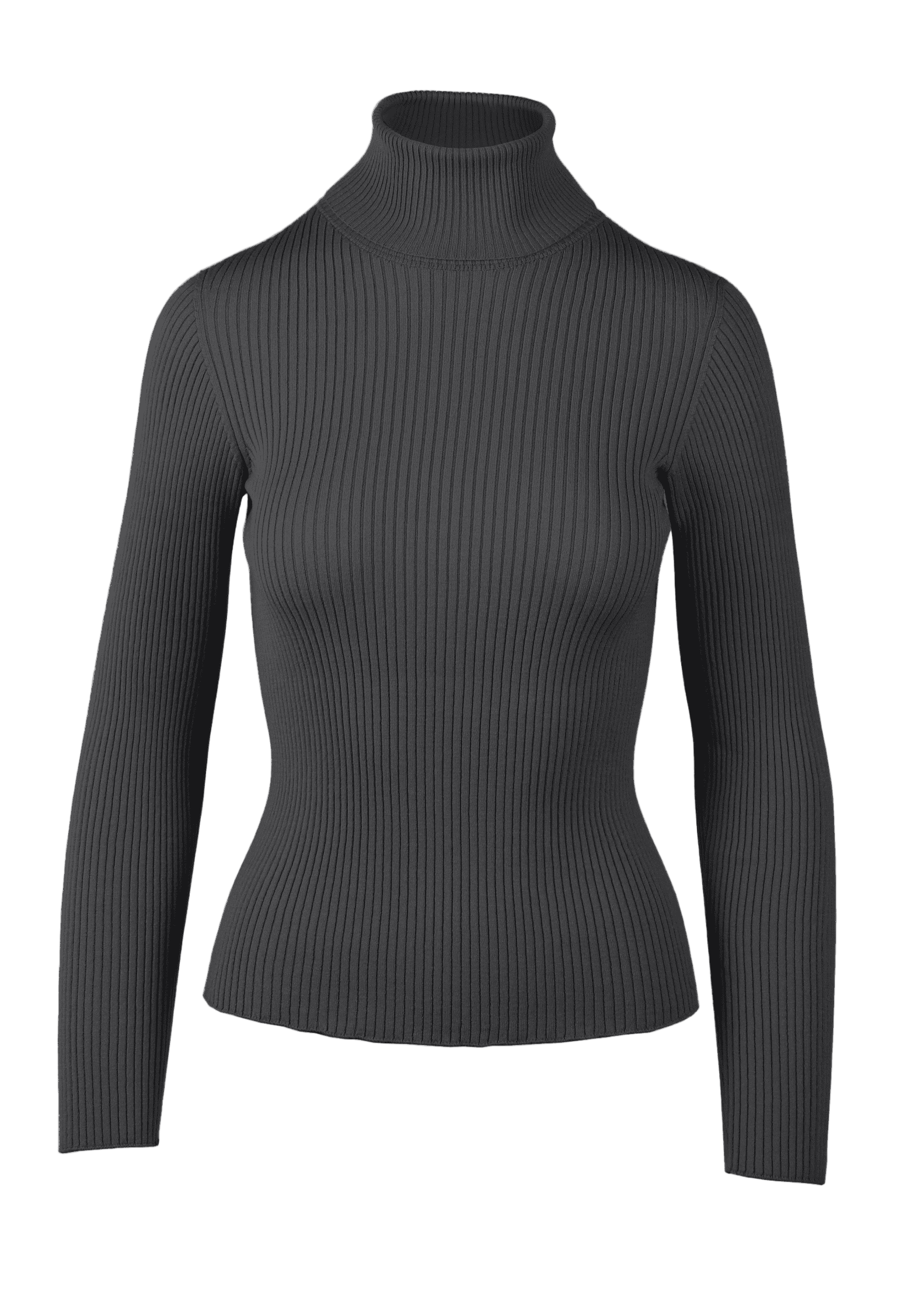 Yanna Turtleneck