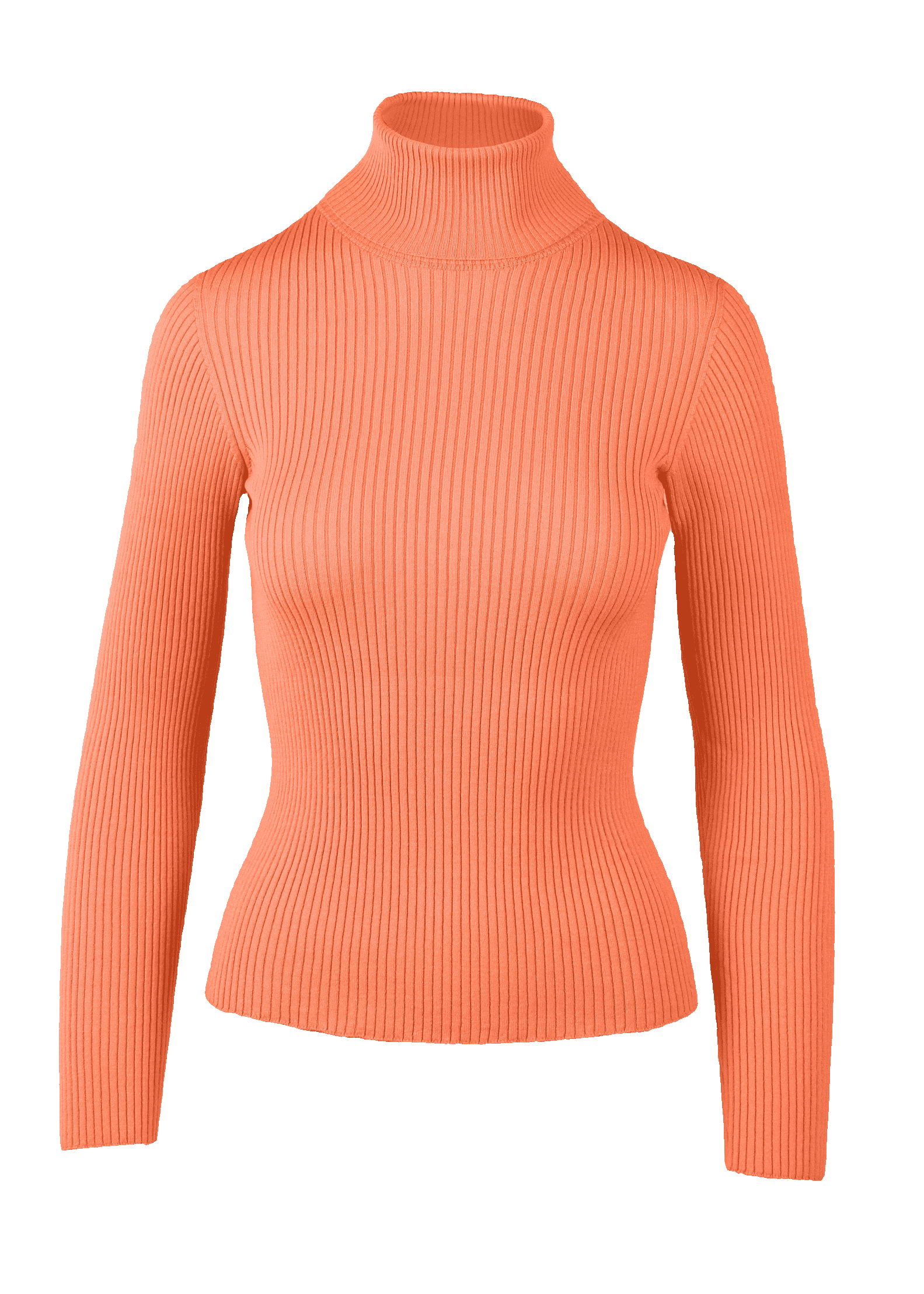 Yanna Turtleneck