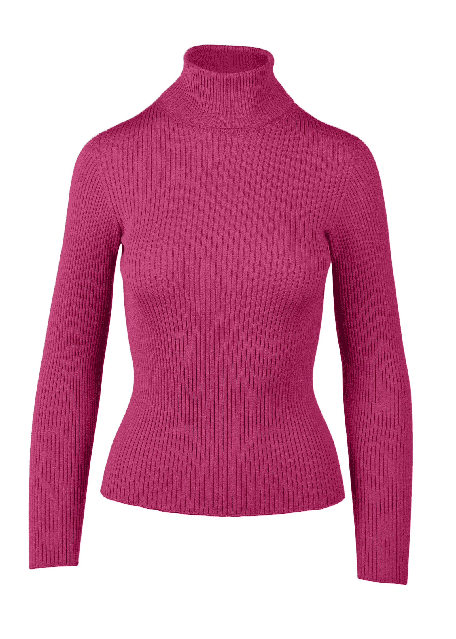 Yanna Turtleneck