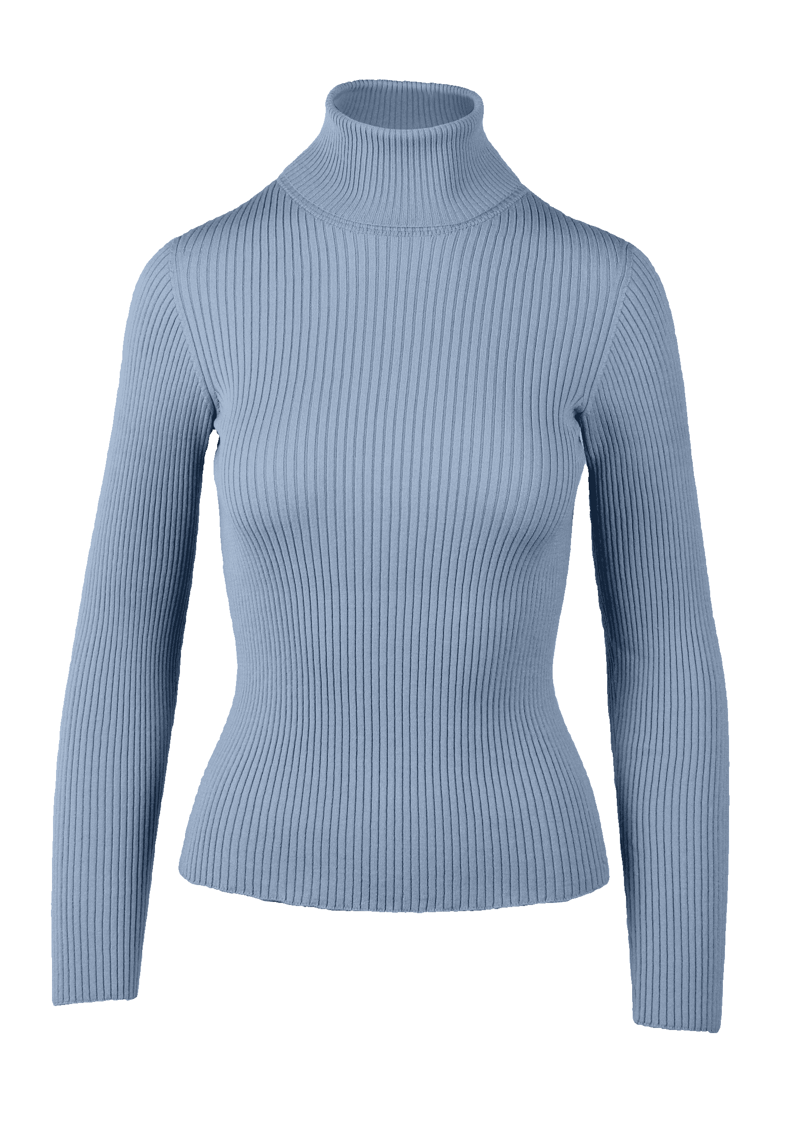 Yanna Turtleneck